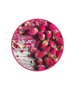 Rosa Rugosa