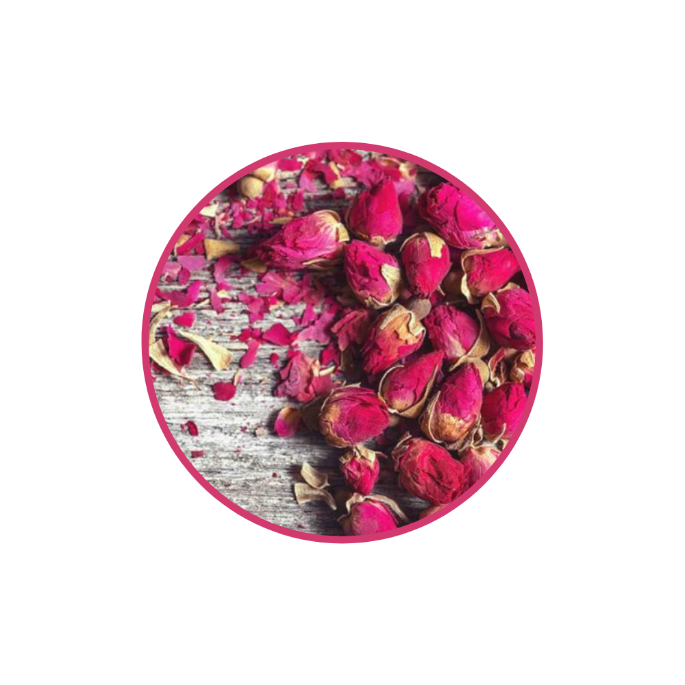 Rosa Rugosa